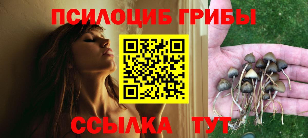 Псилоцибиновые грибы прущие грибы  Вход с VPN  Ливны 